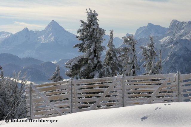 Am gaisberg Sbg.