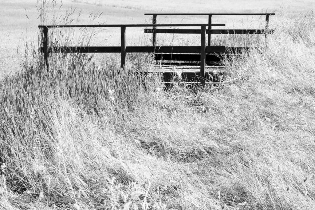 IR Foto am Golfplatz Bad KKH