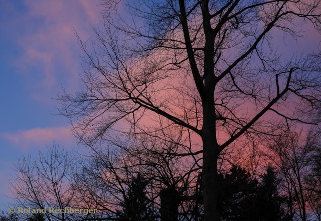 Morgen Farben 