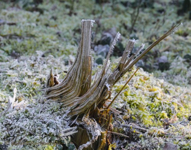Winterlandschaft 2