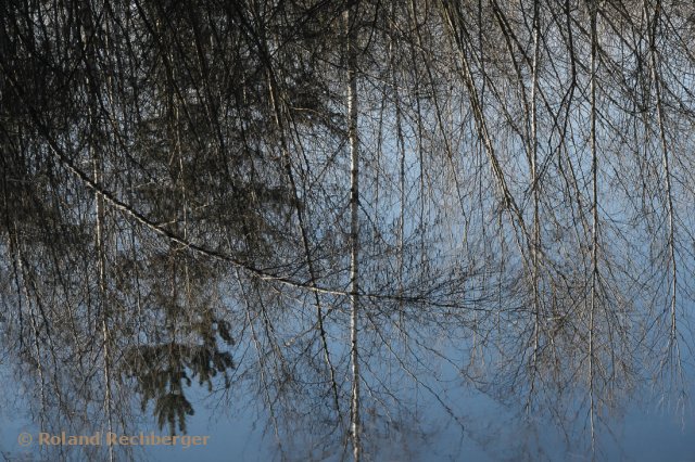 Weidmoos Spiegelbild