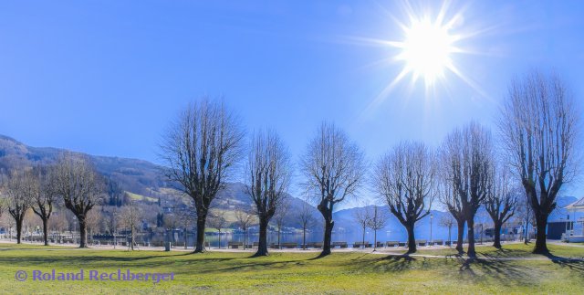 Im Park am Mondsee