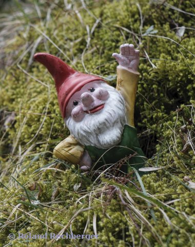 Der kleine Zwerg