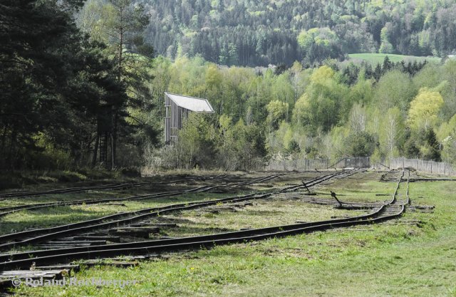 Im Ainringer Moor / Freilassing