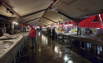 Chioggia - Fisch Markt